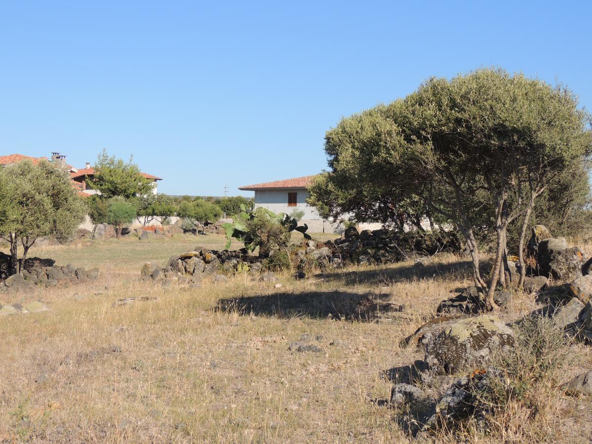 Bed and Breakfast Il Nuraghe Uras Exterior foto