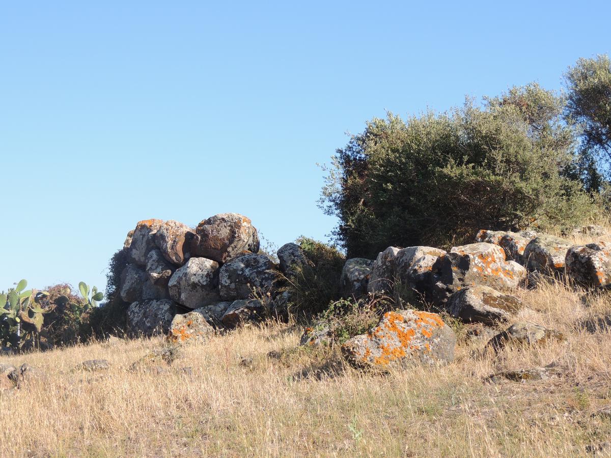 Bed and Breakfast Il Nuraghe Uras Exterior foto